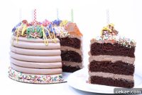Vegan Chocolate Birthday Cake Recipe for Moist, Decadent Layers