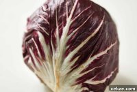 Mastering Radicchio: Simple Recipes and Cooking Tips