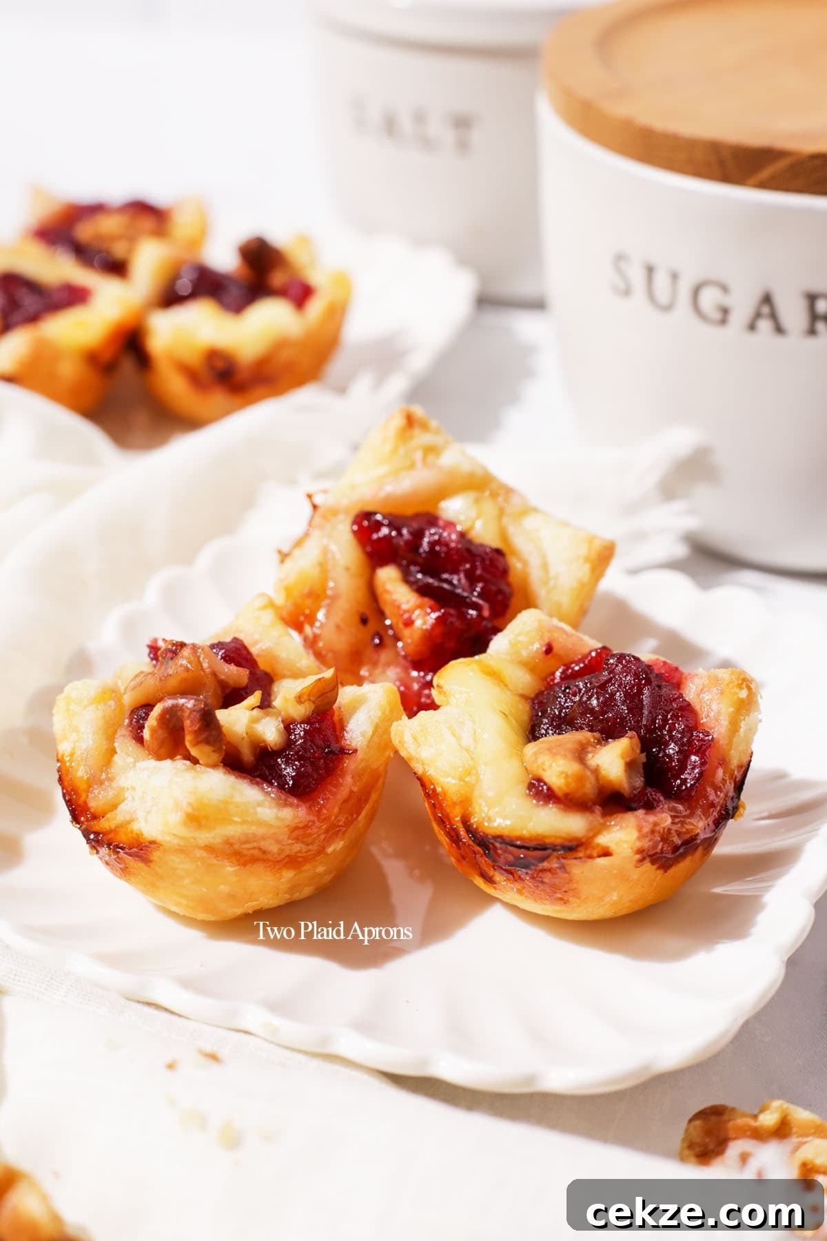 Cranberry Brie Bites: Mini Appetizers for Holidays & Parties 2 Mini cranberry brie bites