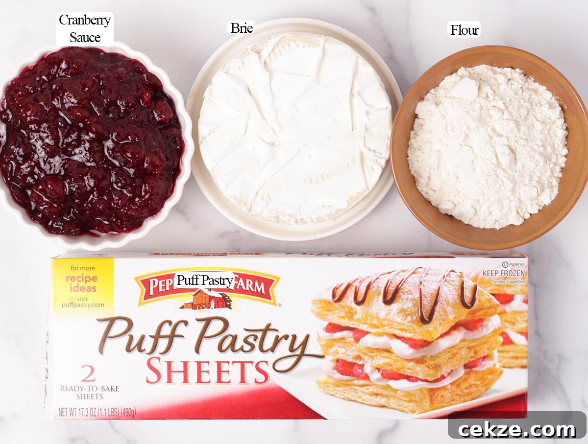 Cranberry Brie Bites: Mini Appetizers for Holidays & Parties 3 Ingredients for brie bites
