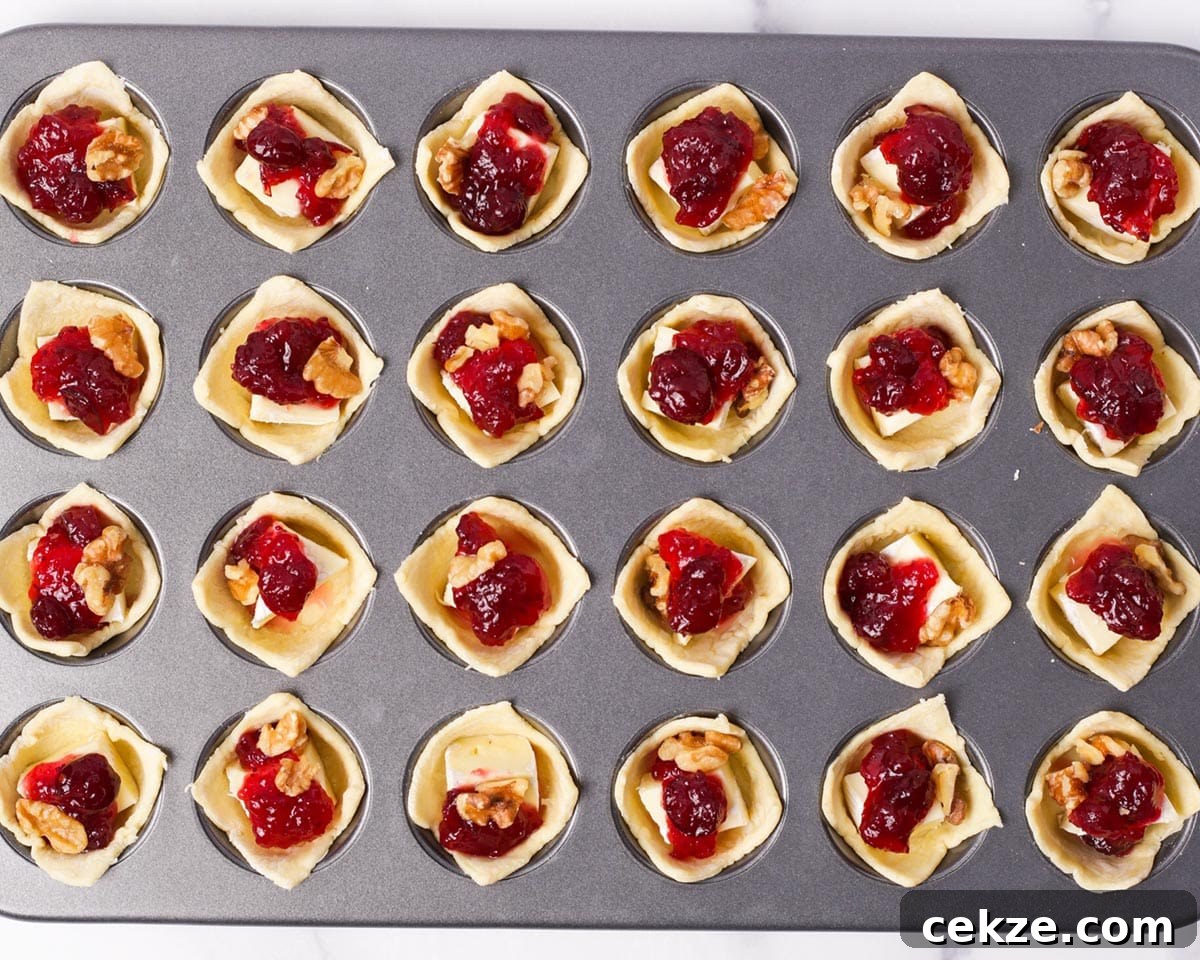 Cranberry Brie Bites: Mini Appetizers for Holidays & Parties 8 Ready to bake brie bites