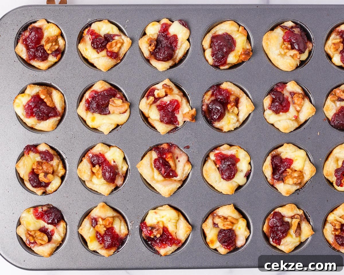 Cranberry Brie Bites: Mini Appetizers for Holidays & Parties 9 Baked brie bites