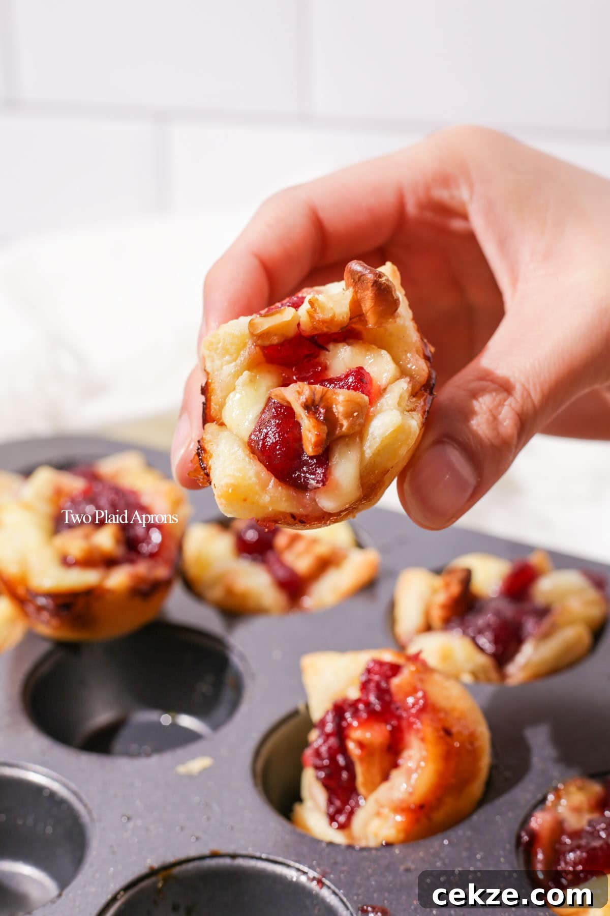 Cranberry Brie Bites: Mini Appetizers for Holidays & Parties 10 Plated cranberry brie bites