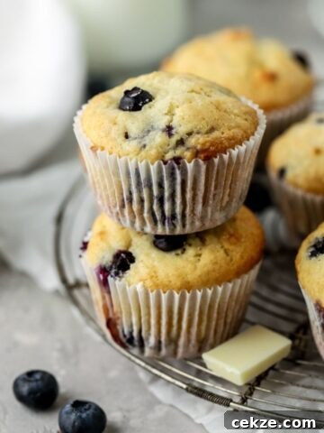 Blueberry muffins stacked on each other on a wire rack next to some blueberries.