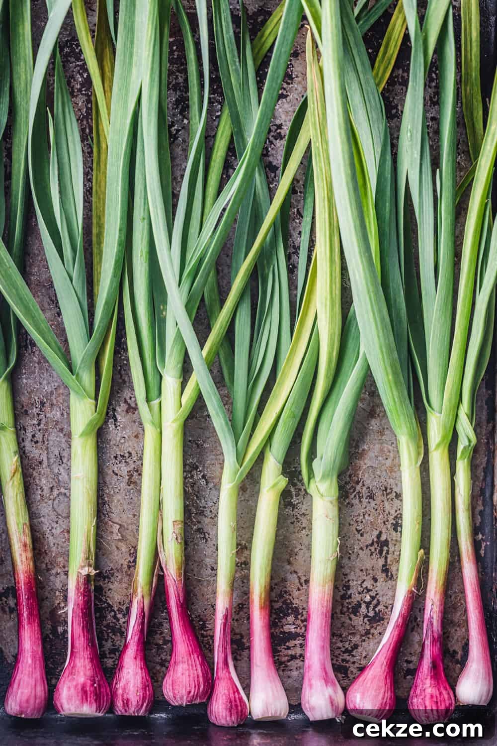 spring onions on a baking tray to be used in the farmers market salad