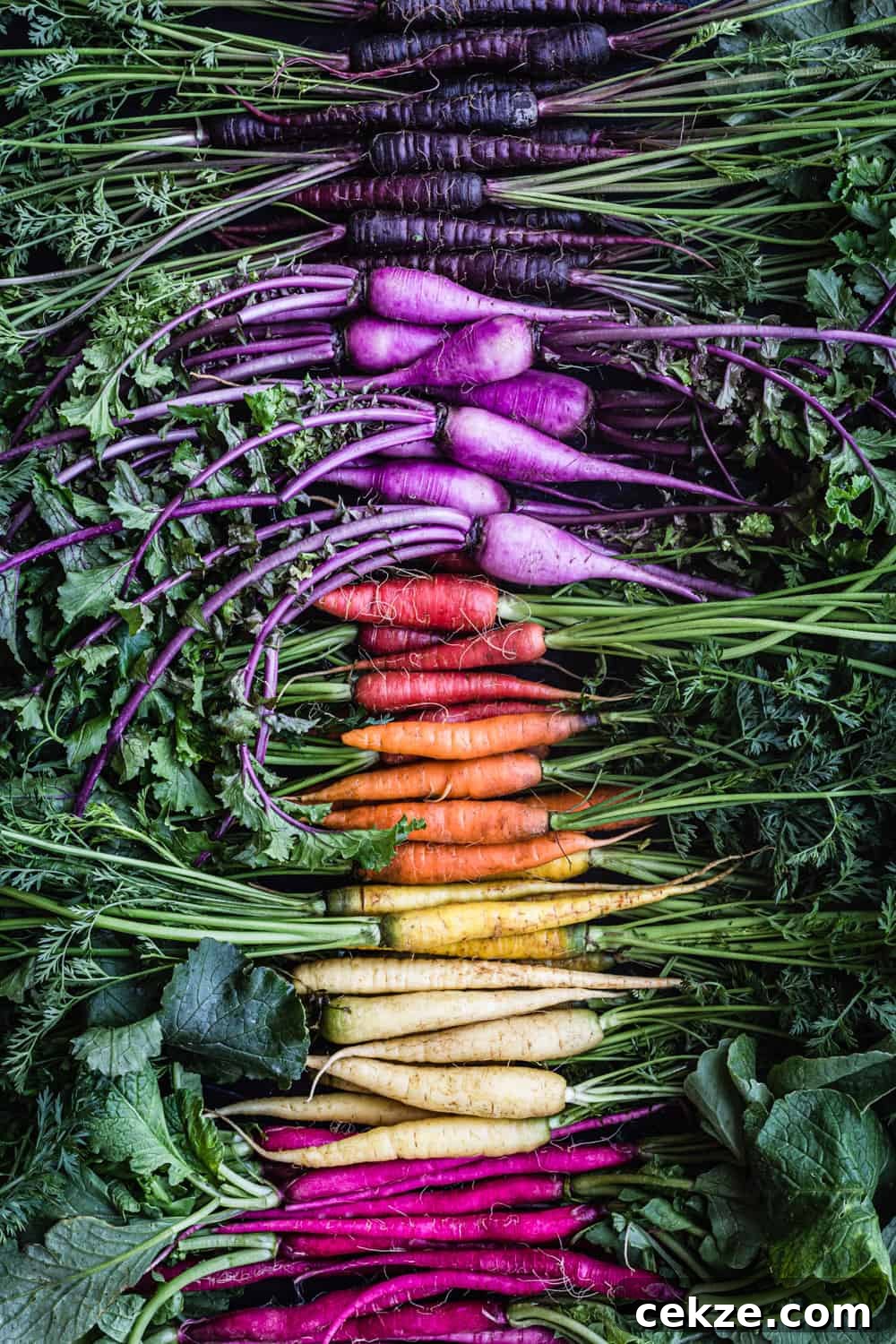 Ingredient shot of a root veggie rainbow!