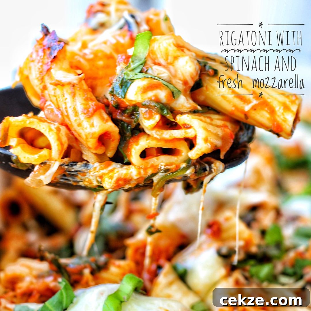 Creamy Spinach and Fresh Mozzarella Rigatoni Recipe 2 Baked rigatoni with spinach and mozzarella