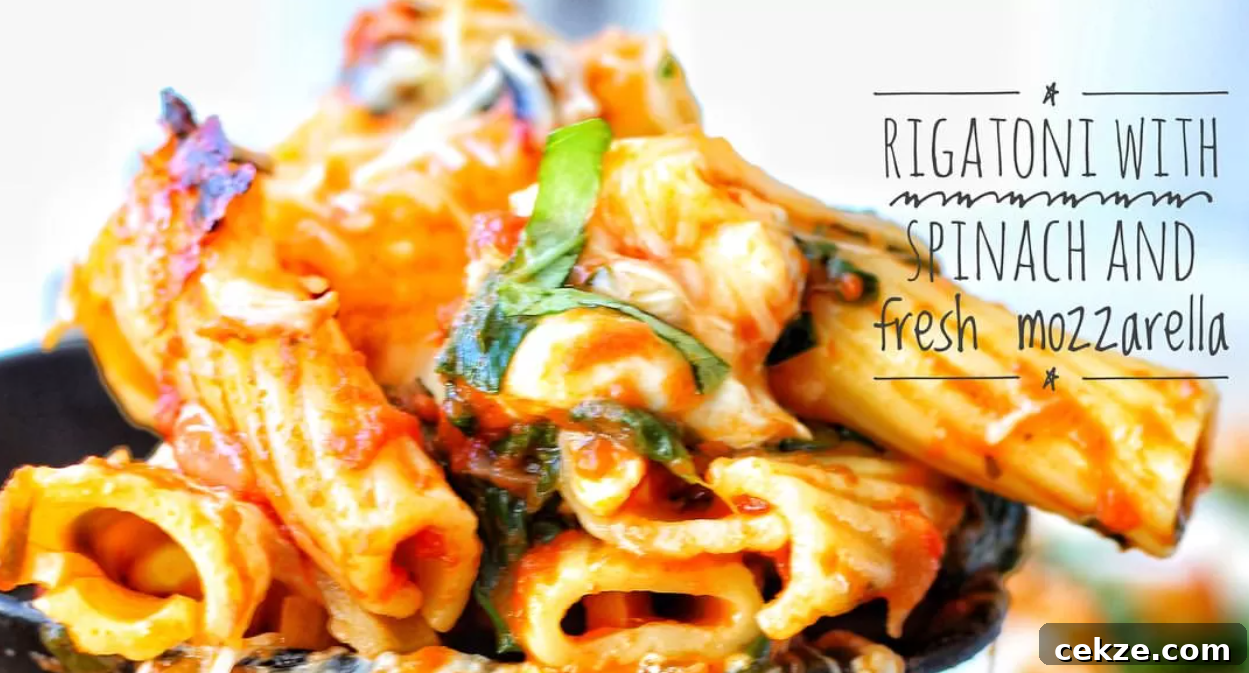 Rigatoni with Spinach and Fresh Mozzarella