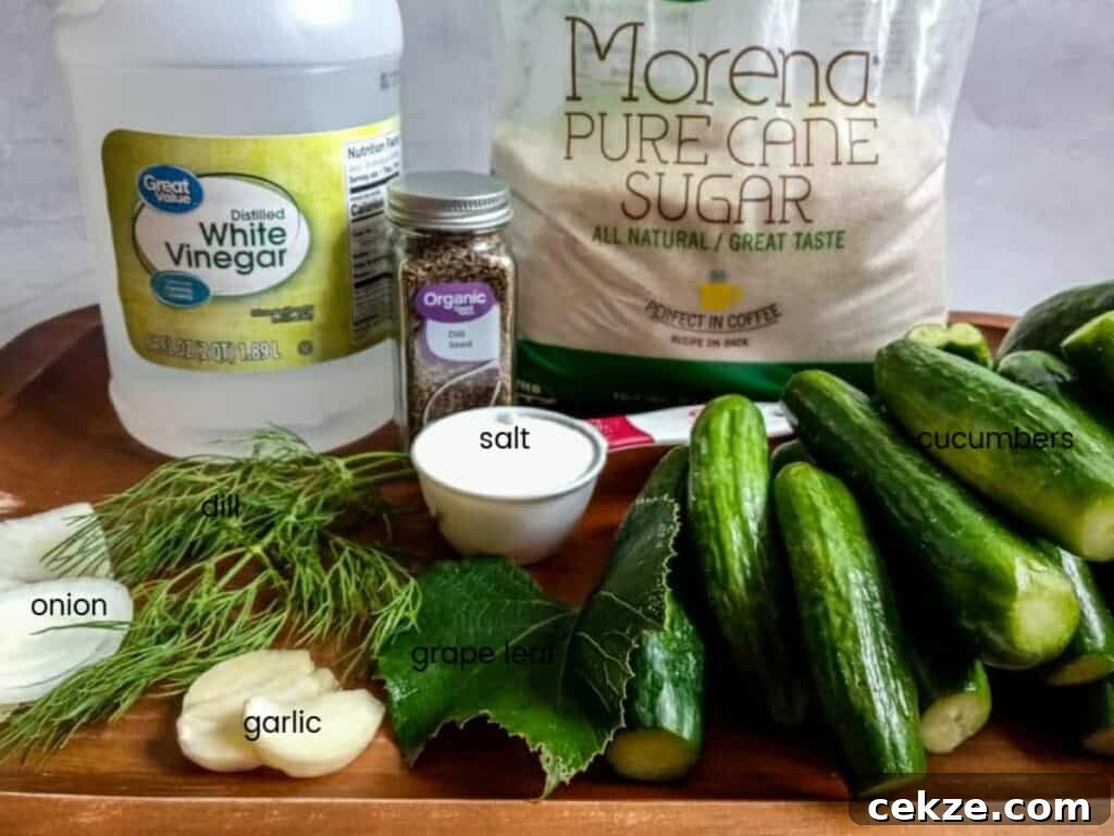 Amish Refrigerator Pickles: Quick No-Cook Dill Recipe 2 Ingredients: cucumbers, vinegar, sugar, salt, dill, grape leaf, onion, and garlic
