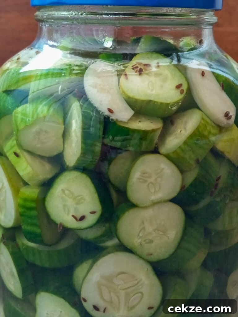 Amish Refrigerator Pickles: Quick No-Cook Dill Recipe 5 a gallon jar full of cucumbers and brine ready to make Amish refrigerator pickles