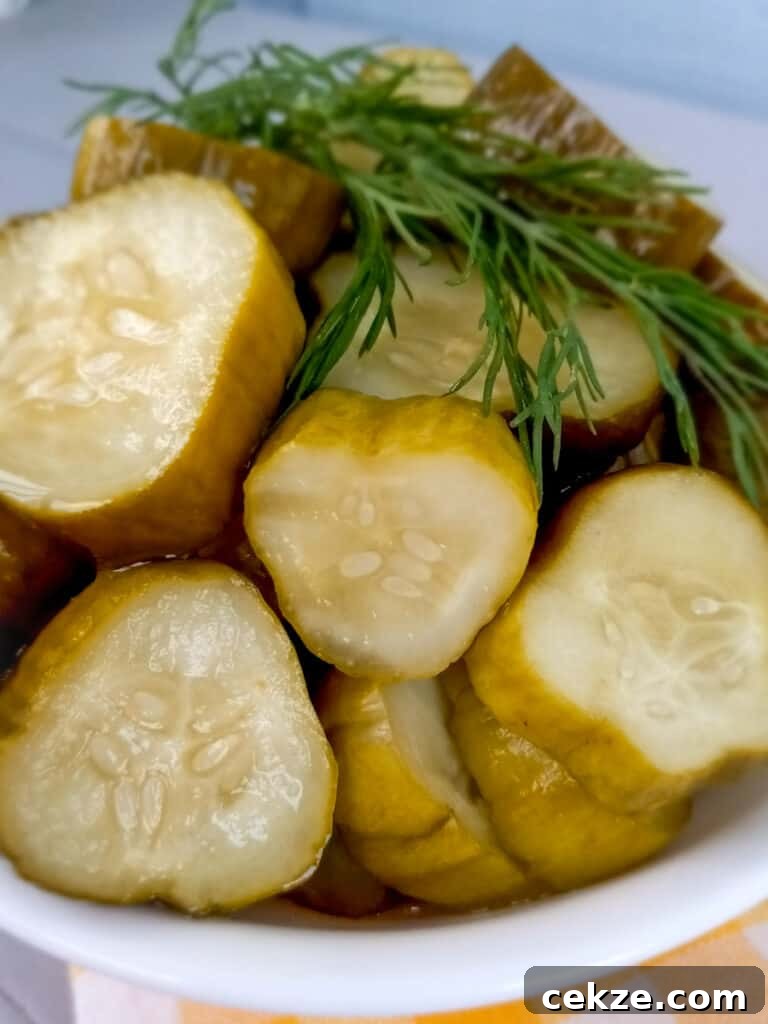Amish Refrigerator Pickles: Quick No-Cook Dill Recipe 7 bowl of Amish refrigerator pickles ready to eat