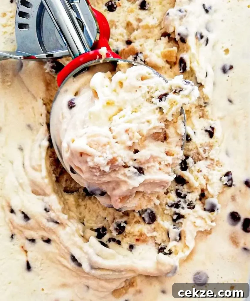 No-Churn Chocolate Chip Cookie Dough Ice Cream Recipe 2 chocolate chip cookie dough ice cream close up of ice cream in scoop