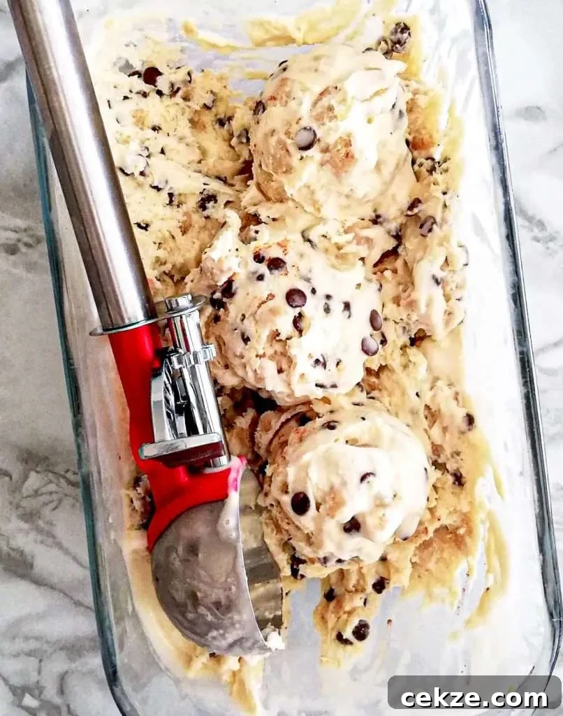 No-Churn Chocolate Chip Cookie Dough Ice Cream Recipe 14 chocolate chip cookie dough ice cream 3 scoops in loaf pan