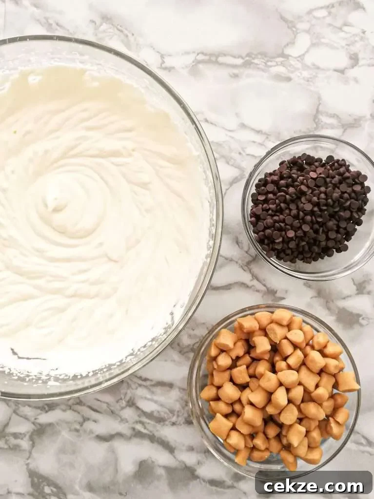 No-Churn Chocolate Chip Cookie Dough Ice Cream Recipe 3 chocolate chip cookie dough ice cream ice cream base, chocolate chips, and edible cookie dough in 3 separate bowls