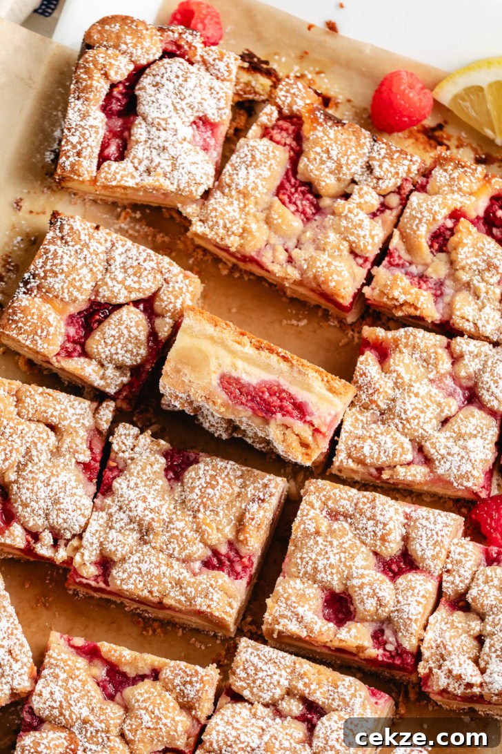 Overhead view of a batch of lemon raspberry bars with crumb topping.