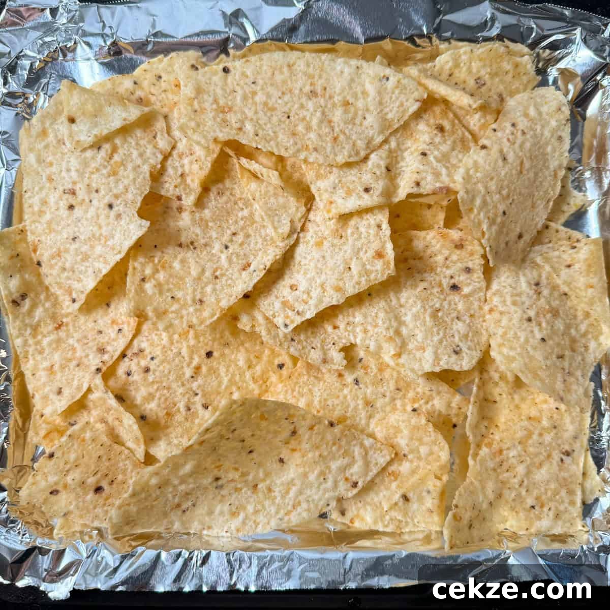 air fryer nachos with tortilla chips