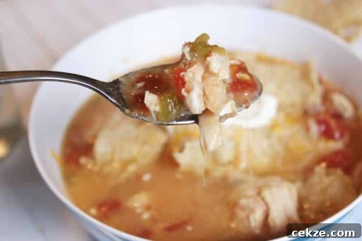 Slow Cooker Chicken Tortilla Soup