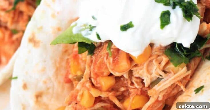 Three Ingredient Slow Cooker Salsa Chicken