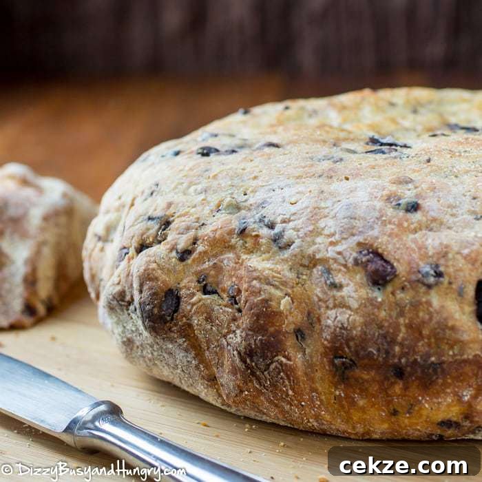 Olive Parmesan Bread