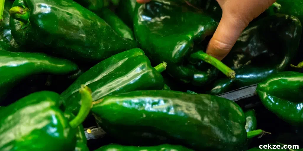 poblano peppers