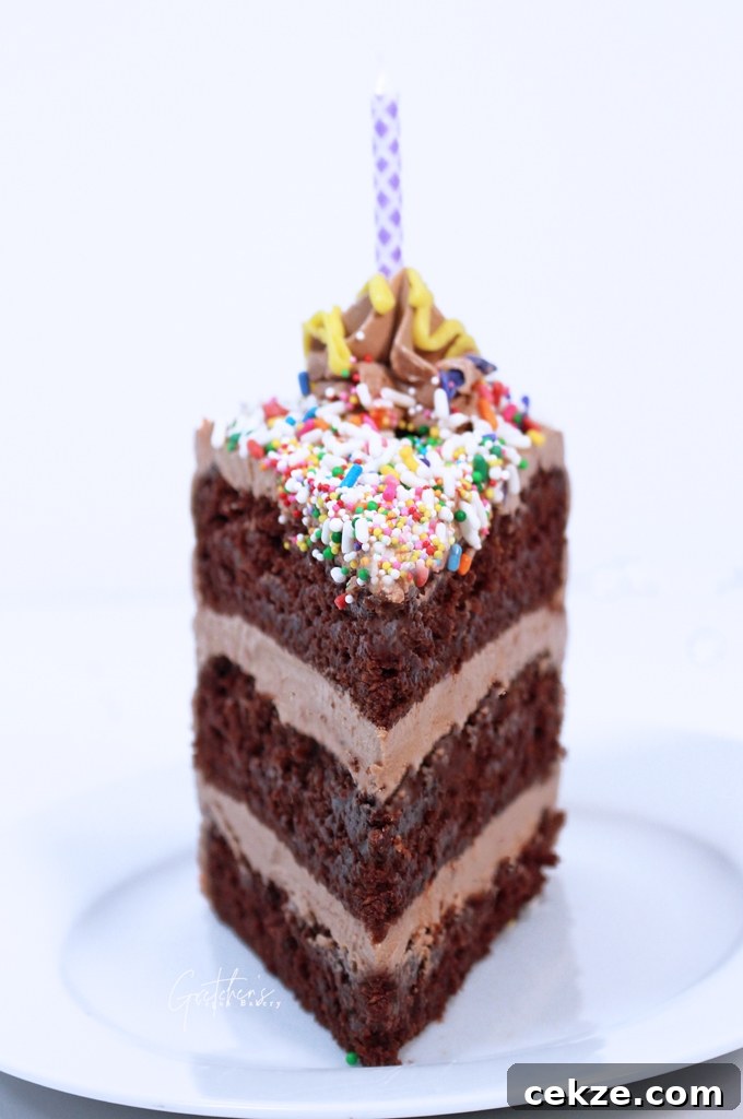 Vegan Chocolate Birthday Cake