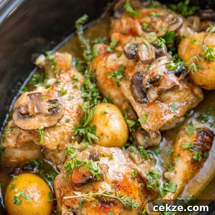 Image for Crock Pot Creamy Mushroom Chicken with Potatoes