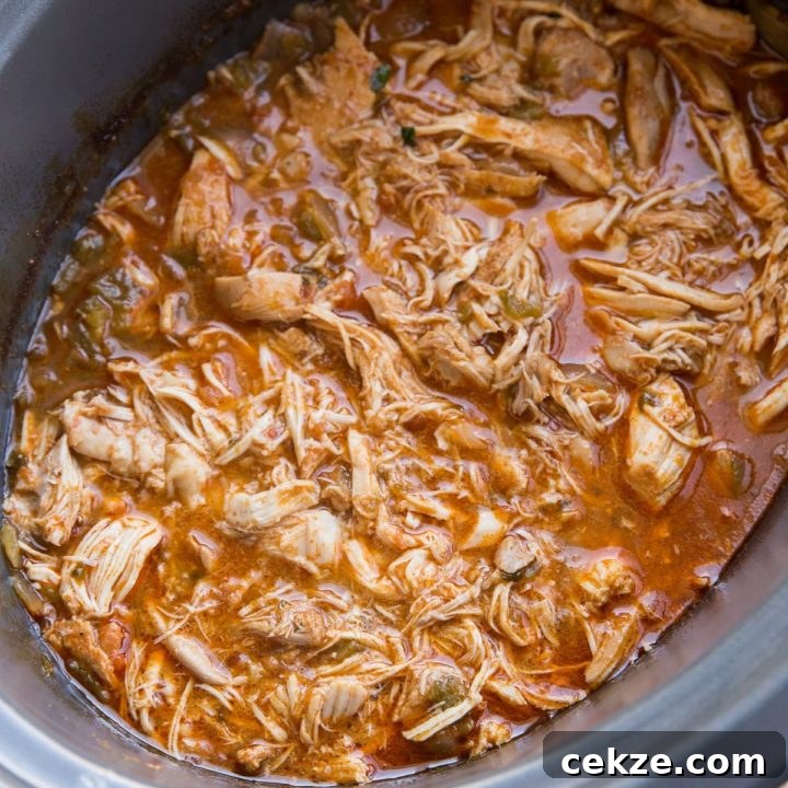 Image for 5-Ingredient Crock Pot Mexican Shredded Chicken