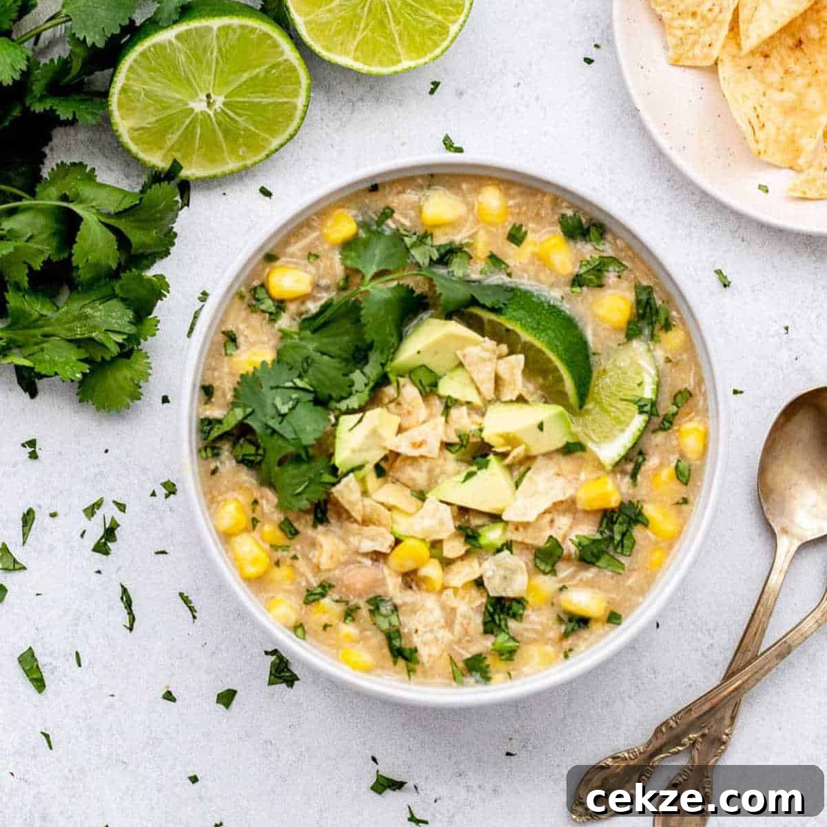 Image for White Chicken Chili with Salsa Verde {Slow Cooker}