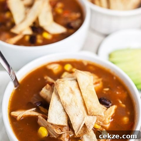 Image for Chicken Tortilla Soup (Crockpot)