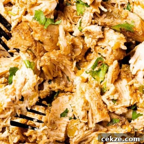 Image for Slow Cooker Shredded Chile Chicken