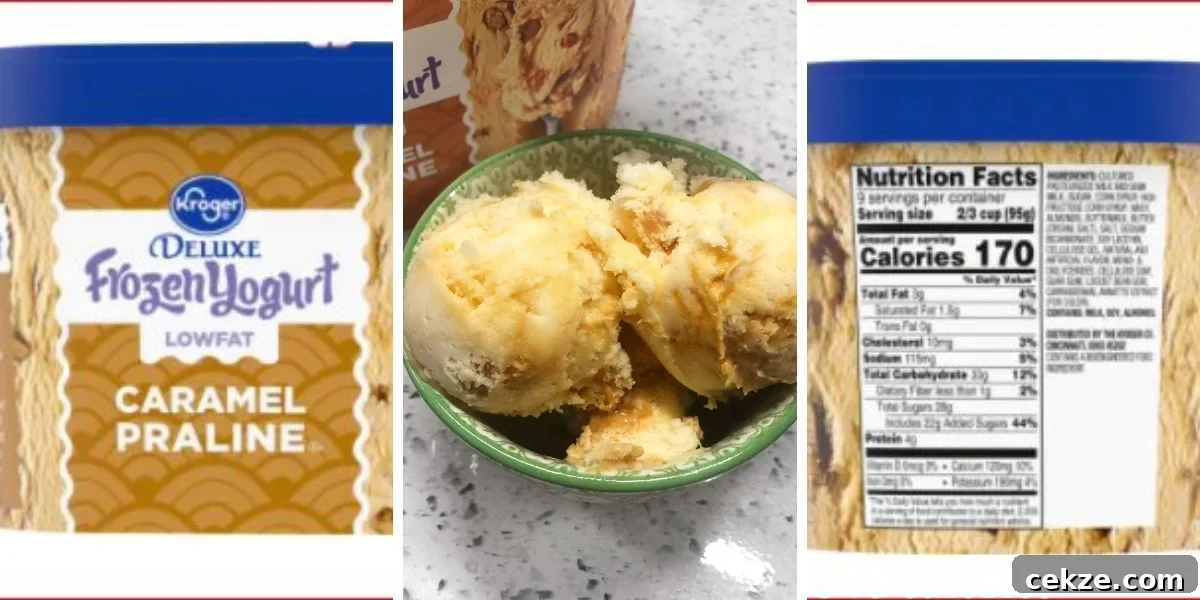 kroger frozen yogurt with label