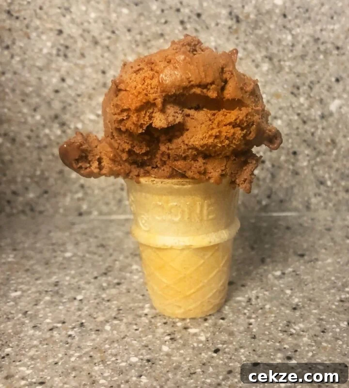 cado chocolate ice cream