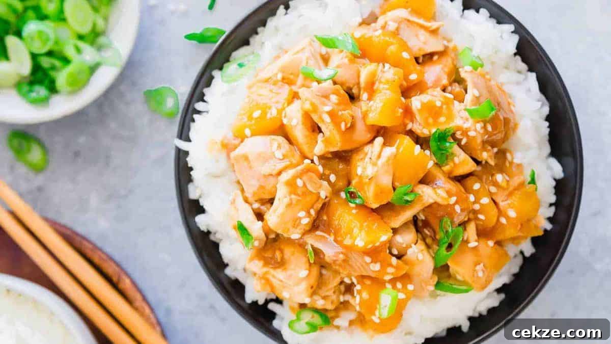 Slow Cooker Honey Garlic Chicken