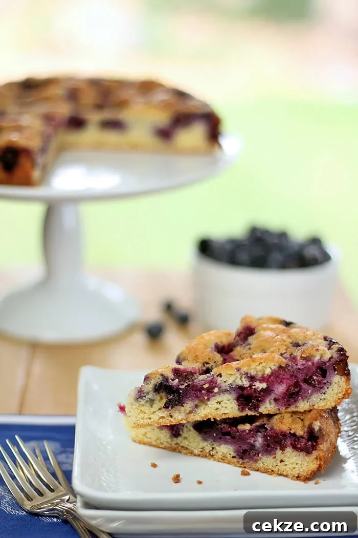 Blueberry and Nutmeg Coffee Cake Recipe for Brunch 2 Blueberry Nutmeg Coffee Cake Served Outdoors on a Square Plate with Cake and Blueberries in Background