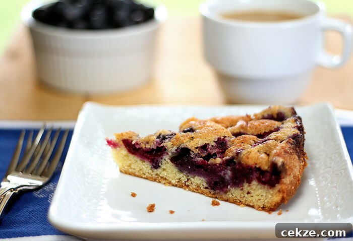 Blueberry and Nutmeg Coffee Cake Recipe for Brunch 3 Closeup of Blueberry Nutmeg Coffee Cake