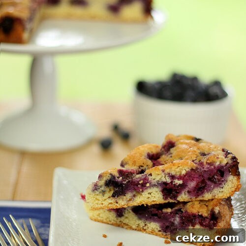 Blueberry Nutmeg Cake