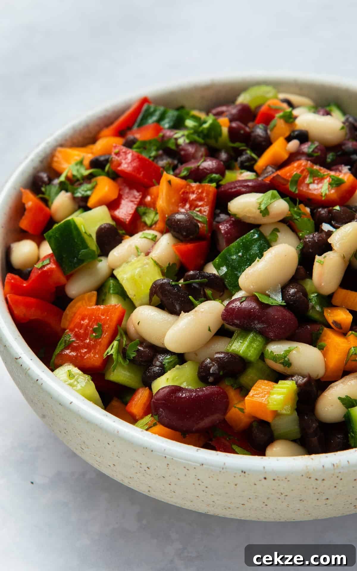 mixed bean salad in grey speckled bowl on white surface