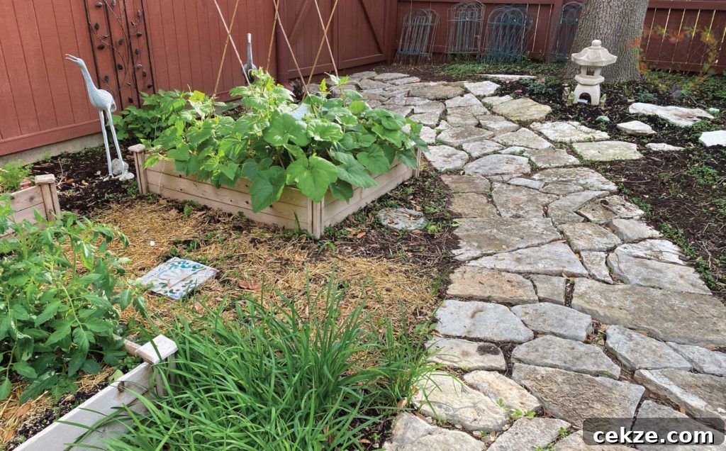 Texas Hill Country kitchen garden