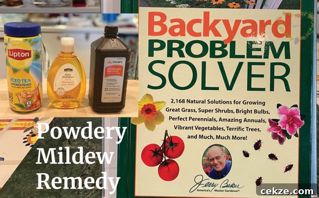 Garden problem solver book