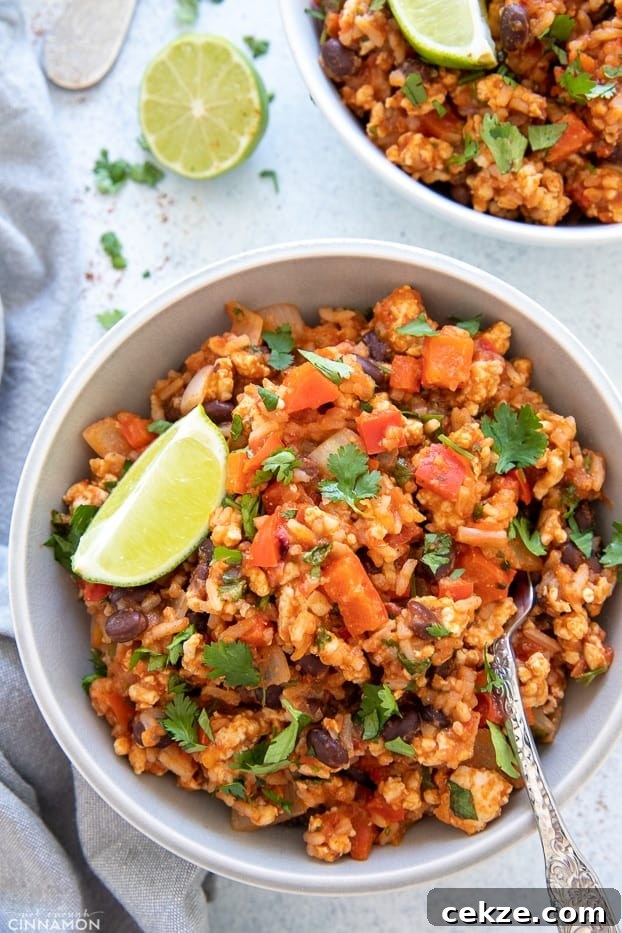 25 Must-Try Recipes from 2020: Top Fan Favorites 11 overhead shot of Mexican rice and ground turkey bowl topped with lime wedge and cilantro