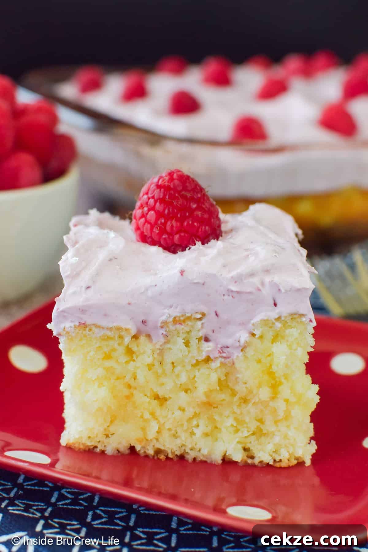A slice of raspberry hazelnut cake on a red plate.