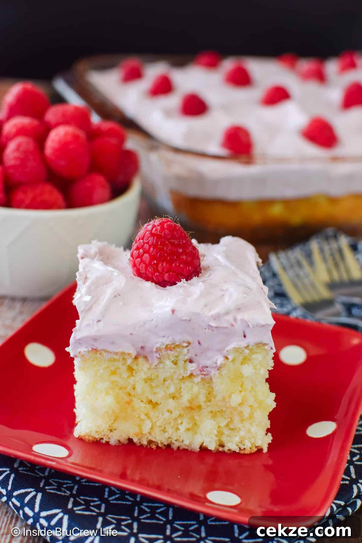 A slice of hazelnut raspberry cake on a red polkadot plate.