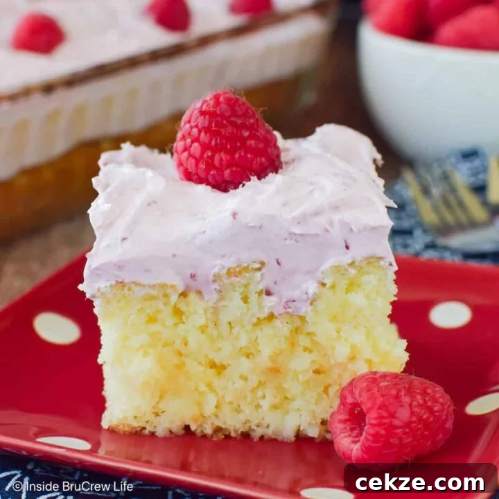 A slice of hazelnut raspberry cake on a red polkadot plate.