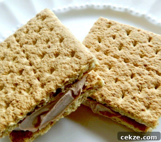 Frozen Nutella Cookie Sandwiches Recipe — No-Bake Summer Treat 2 Frozen Nutella Cookie Sandwiches
