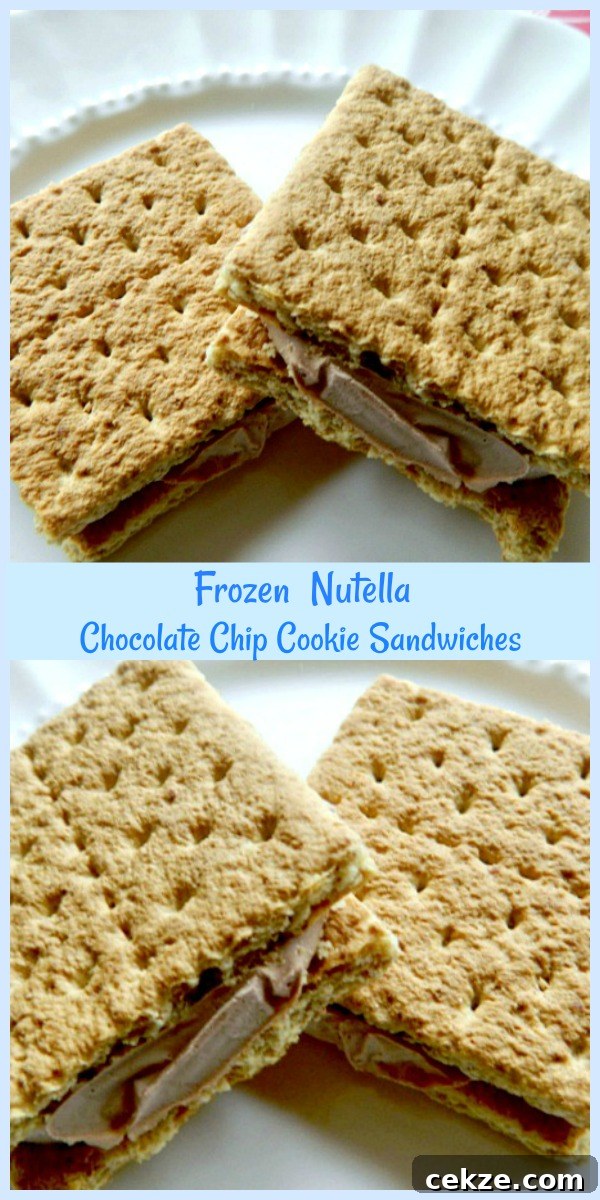 Frozen Nutella Cookie Sandwiches Recipe — No-Bake Summer Treat 5 Frozen sandwiches