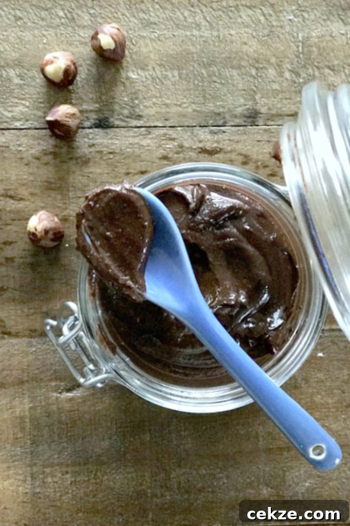 Frozen Nutella Cookie Sandwiches Recipe — No-Bake Summer Treat 6 Paleo Nutella
