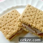 Frozen Nutella Cookie Sandwiches Recipe — No-Bake Summer Treat 9 Recipe thumbnail