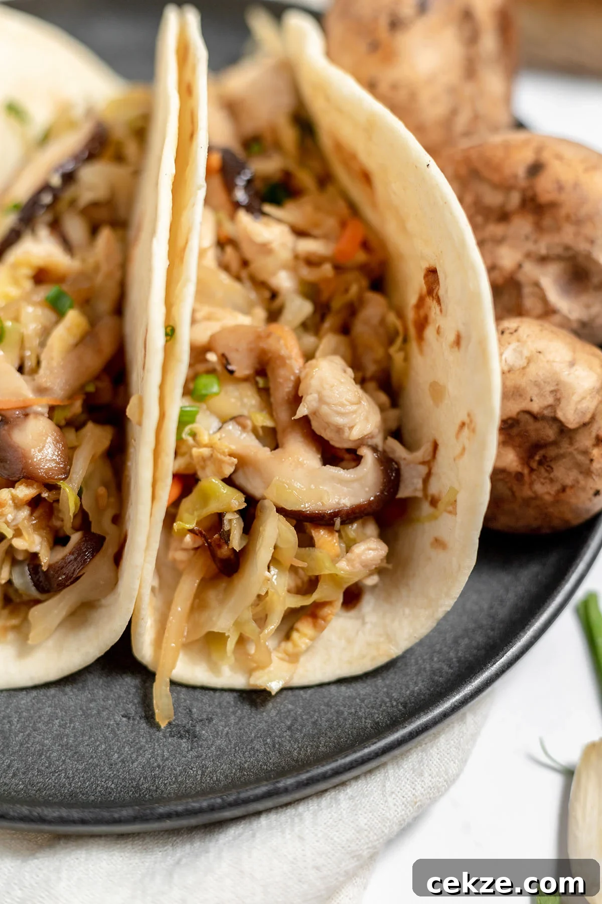 Moo Shu Chicken served in flour tortillas.