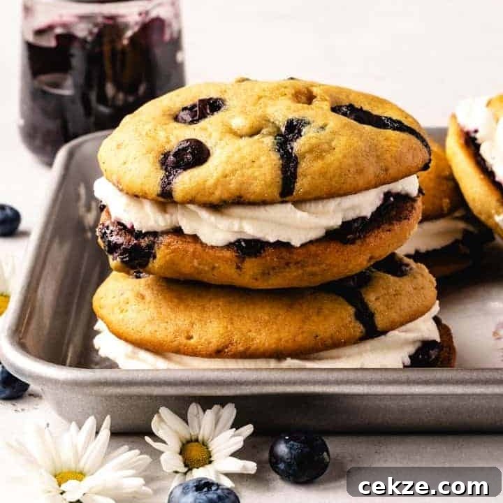 blueberry whoopee pies stacked with jam behind