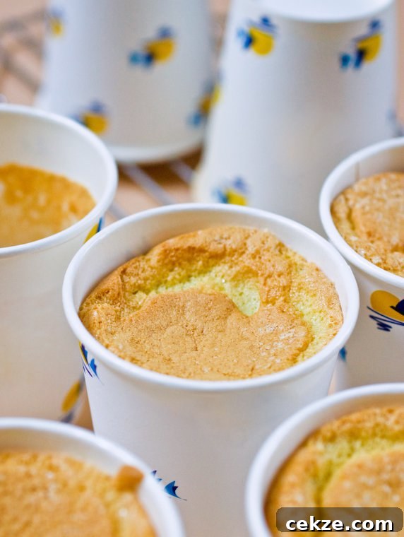 Chiffon Cake Recipe